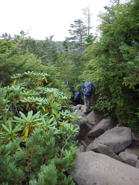 中山下り 中山下り