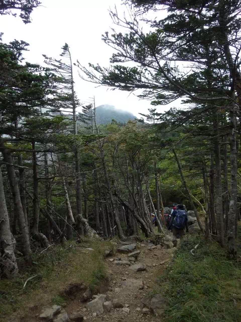 中山下り 中山下り