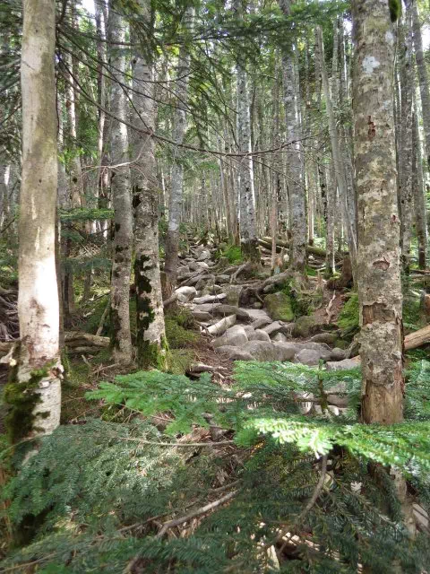 中山登り 中山登り