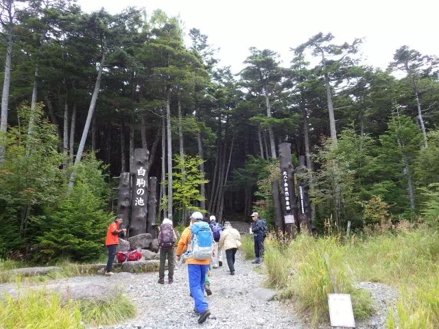 白駒池入口 白駒池入口