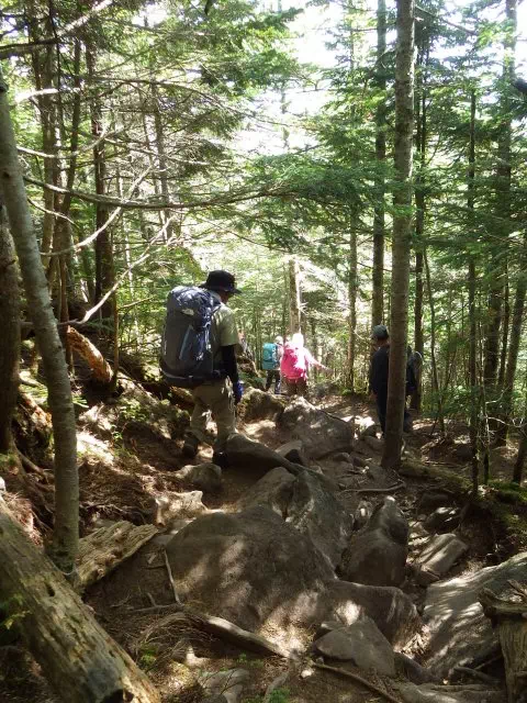 編笠山下り 編笠山下り