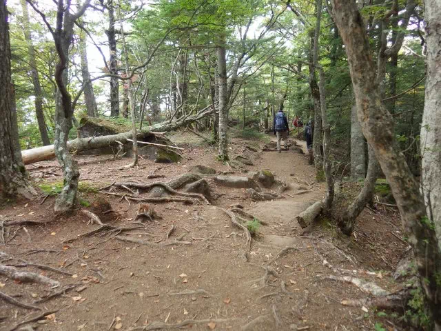 雲海への下り 雲海への下り