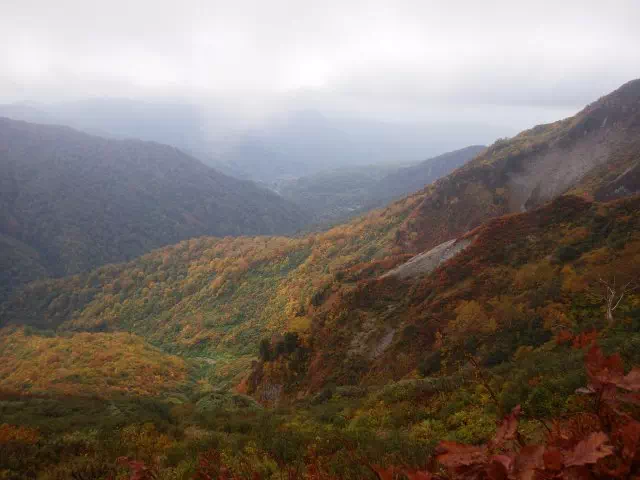 紅葉の山