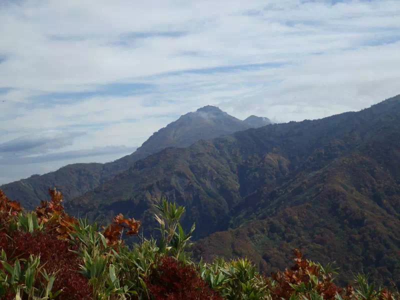 笹平から焼山を見る