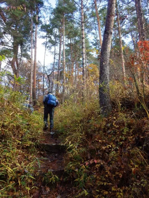 登り道 登り道