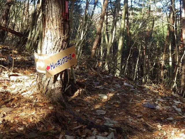 トレイル トレイル