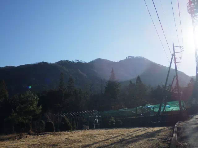 高川山