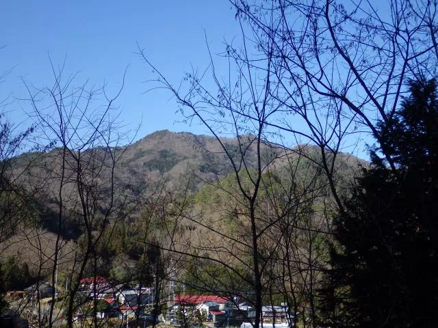 高川山