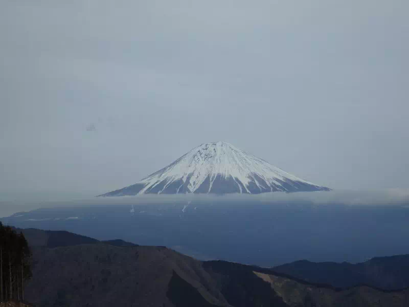 思親山山頂からの富士山