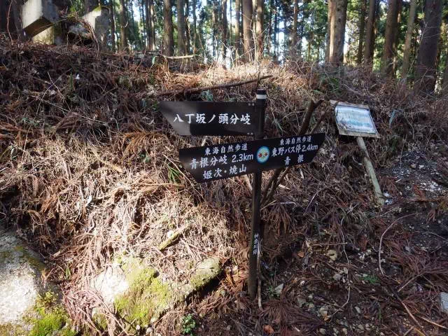 登山口