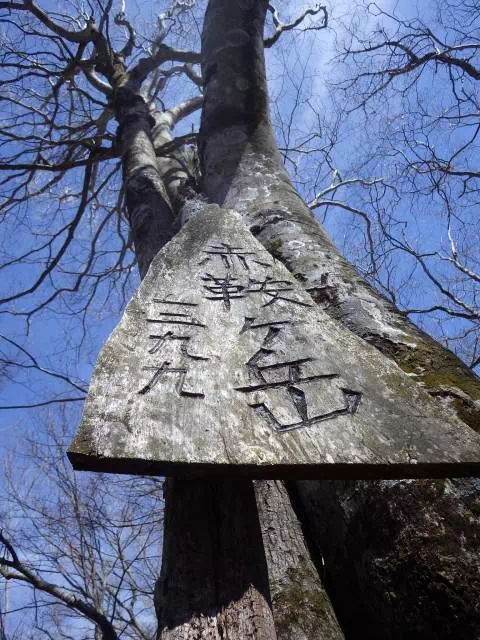 赤鞍ケ岳 赤鞍ケ岳