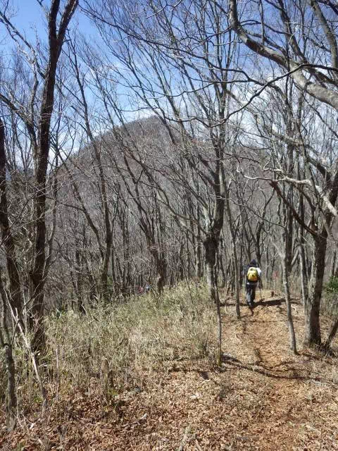 赤鞍ケ岳下り 赤鞍ケ岳下り