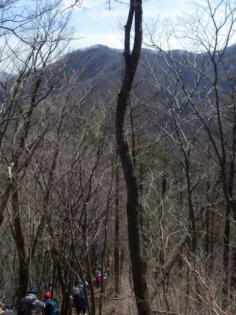 ブドウ岩下り ブドウ岩下り