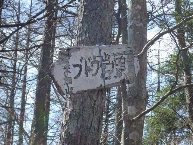 ブドウ岩の頭 ブドウ岩の頭