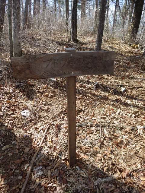 ブドウ岩の頭 ブドウ岩の頭