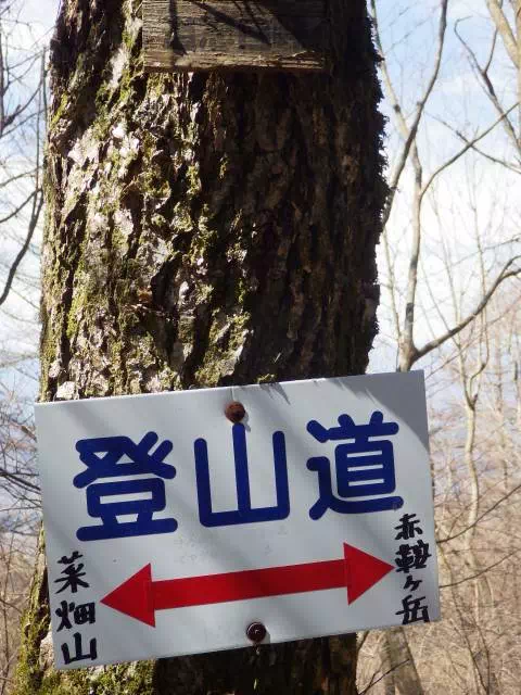 岩戸ノ峰 岩戸ノ峰