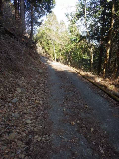 保守道路 保守道路