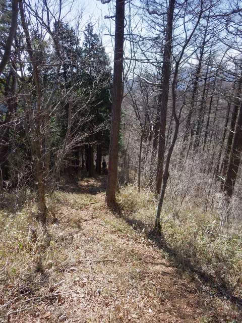 岩戸ノ峰下り 岩戸ノ峰下り