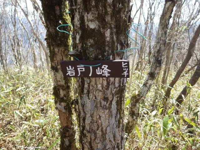 岩戸ノ峰 岩戸ノ峰