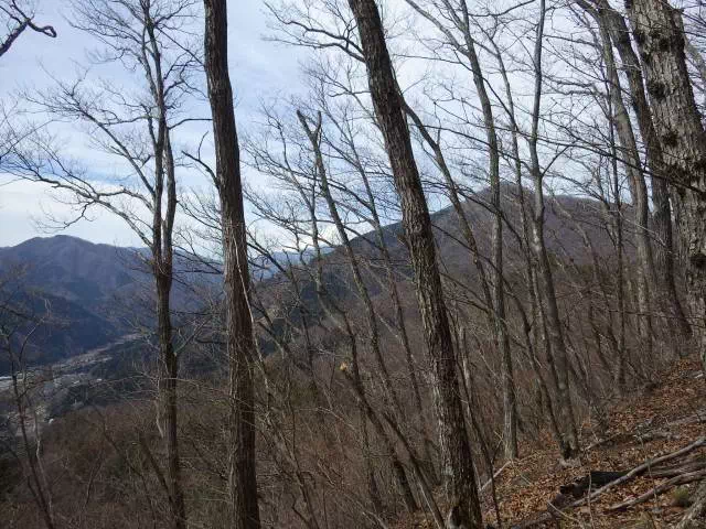 樹間の山 樹間の山