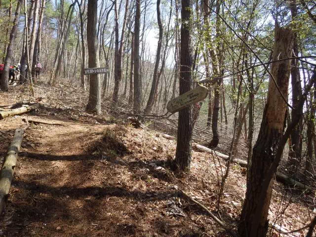 文化洞分岐 文化洞分岐