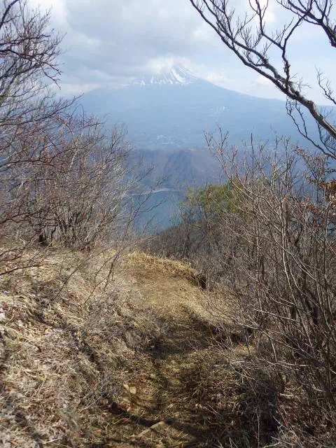 灌木下り 灌木下り
