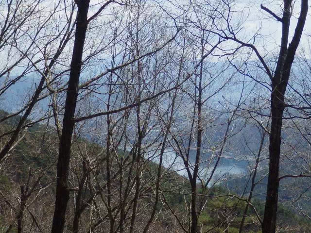 樹間の西湖 樹間の西湖