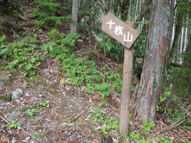 ショートカット