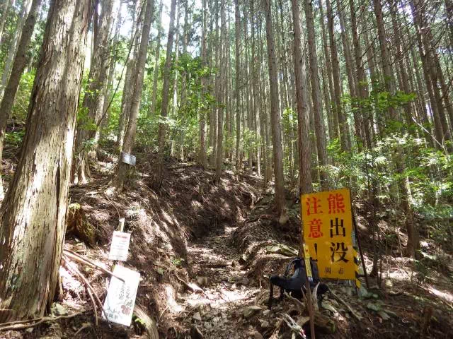 登山道入口