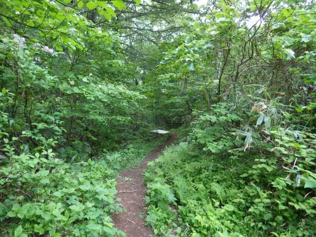 林道終点 林道終点