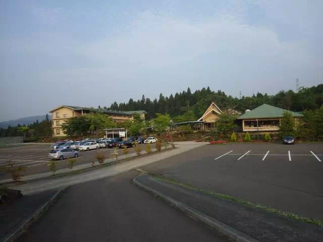 やまぼうし やまぼうし