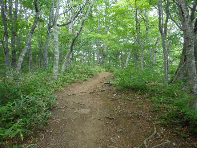 緩い下り 緩い下り