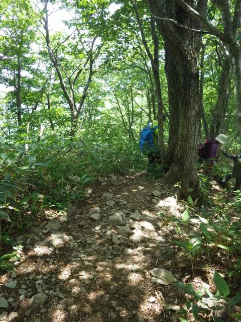 急な下り 急な下り