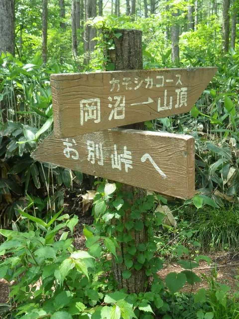 岡沼分岐 岡沼分岐