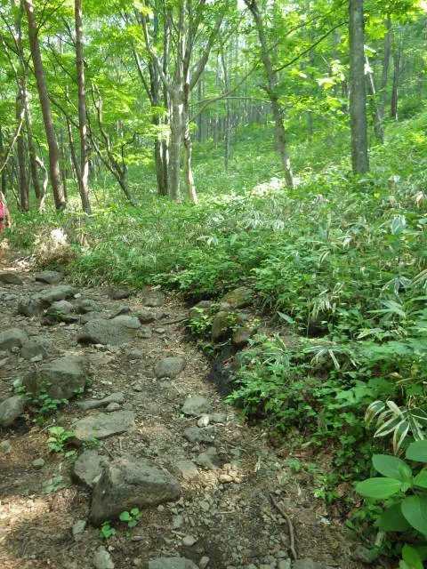 緩い登り 緩い登り