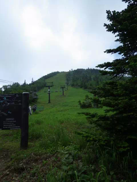 ハイキングコース