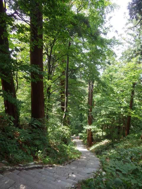 二ノ坂上から 二ノ坂上から