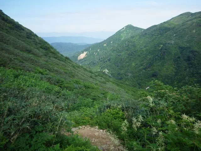 神社遠望 神社遠望