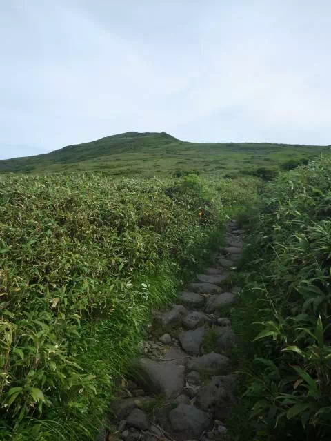 登り道 登り道