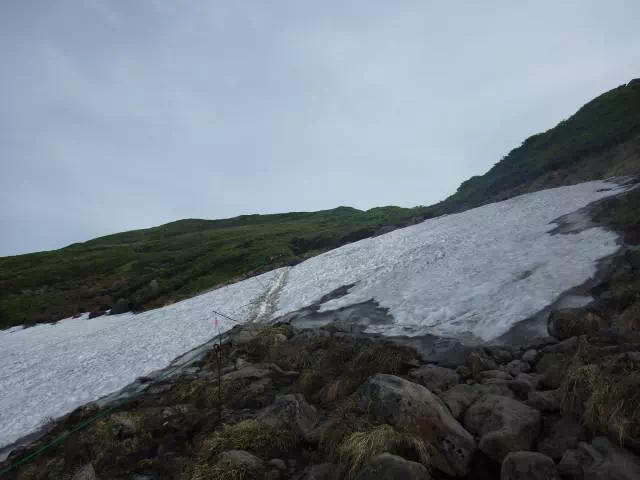 雪渓 雪渓