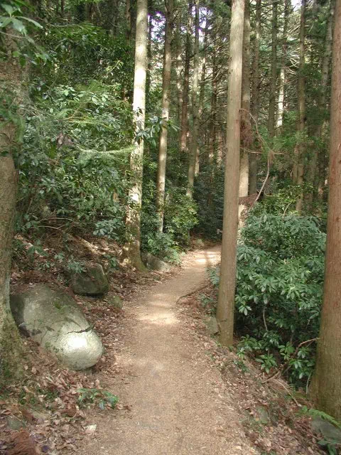 つつじヶ丘付近