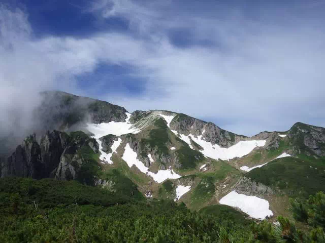 はい松の中の道 はい松の中の道