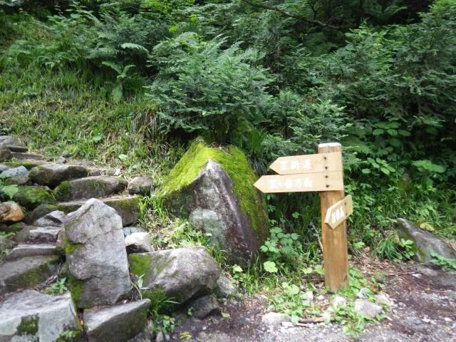 笠新道分岐 笠新道分岐