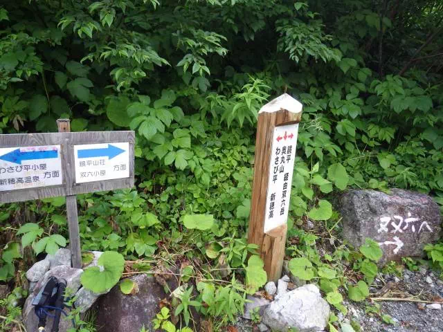 奥丸山分岐 奥丸山分岐