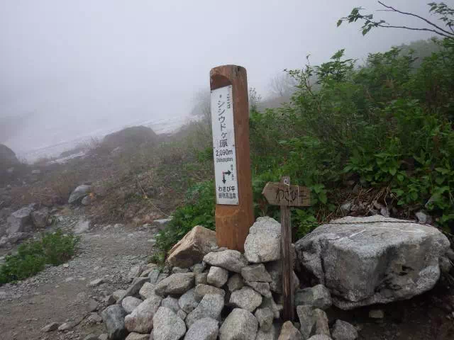 シシウドガ原 シシウドガ原