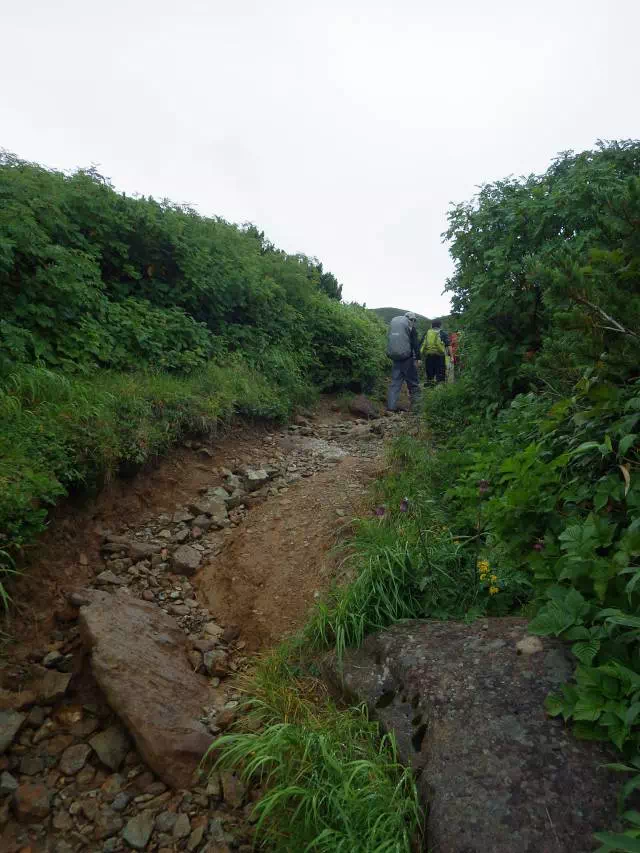 大池近く 大池近く