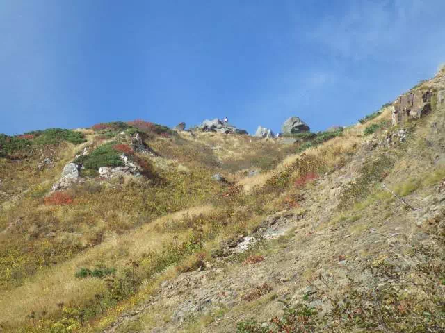 黒ボコ岩 黒ボコ岩