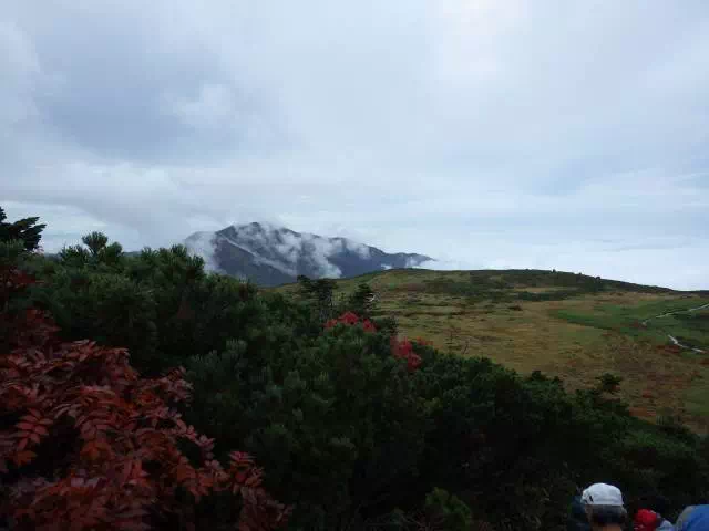 弥陀ヶ原方向 弥陀ヶ原方向