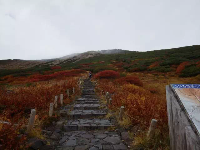 山頂方面 山頂方面