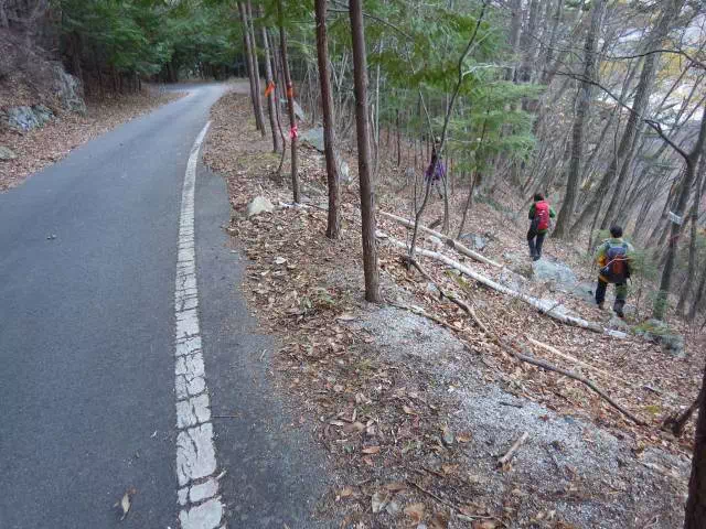 林道から山道